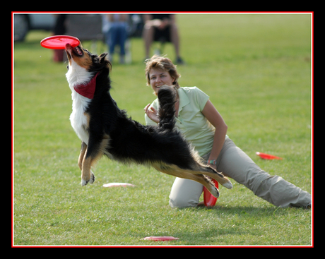 EK Dog Frisbee