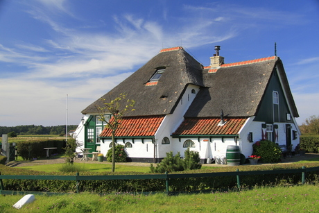 Texel