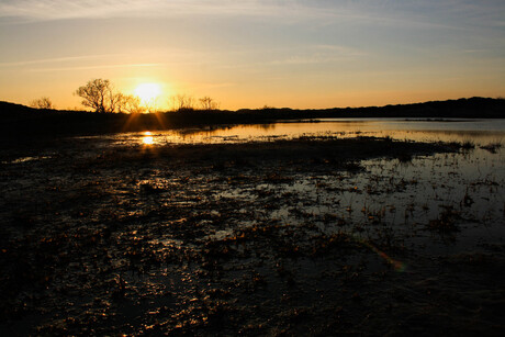 terschellinger zon