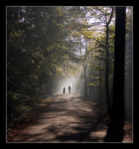 Wandeling in Amelisweerd