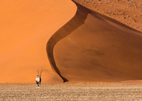 Sossusvlei Namibia