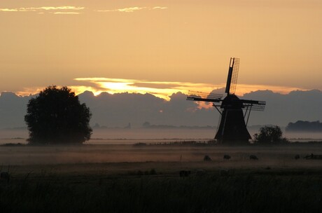 ZELFDE Molen 2