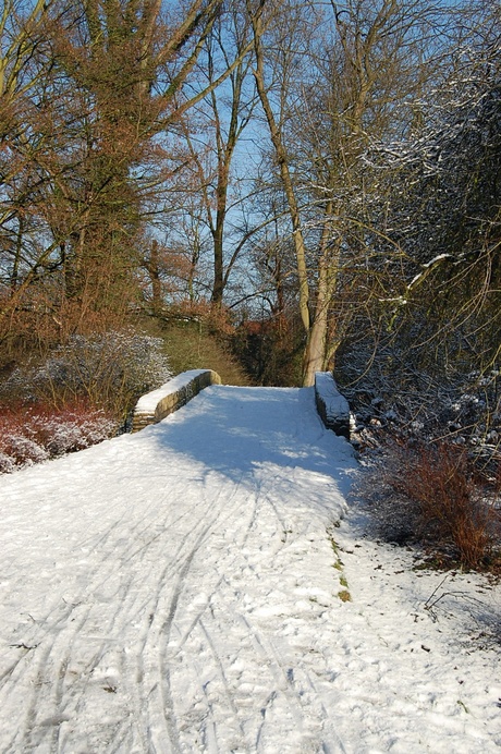 een brug met de sneeuw