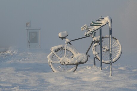 Winter in Flevoland