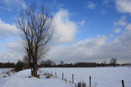 Sneeuwlandschap 1