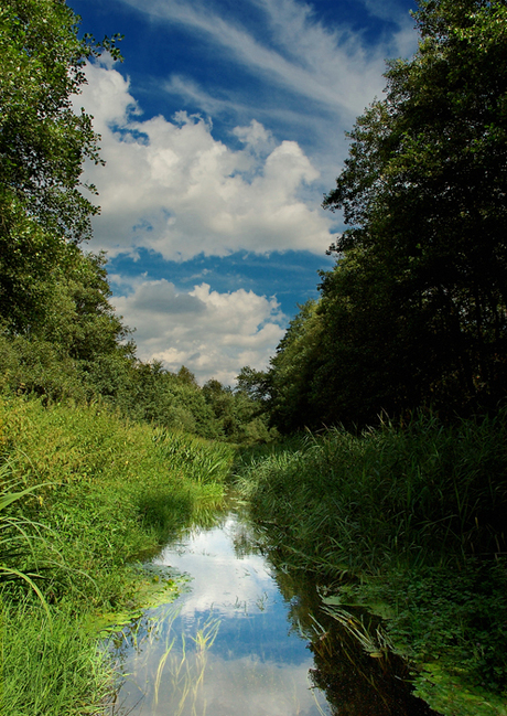 Nederlands landschap