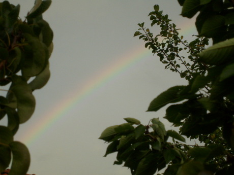 Regenboog.