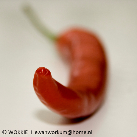 Red hot pepper