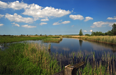 Nat. park HET LAUWERSMEER,