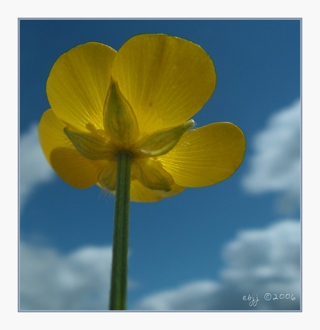 Zonnig vooruitzicht