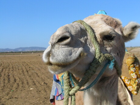 Sta ik er netjes op?