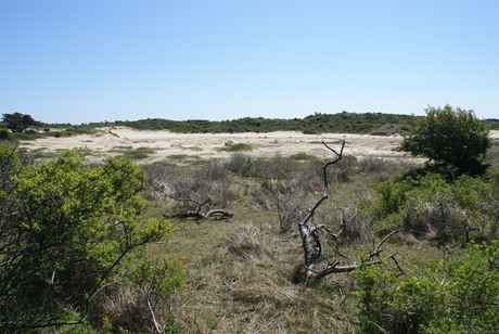 Kennermerduinen