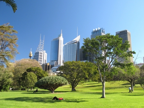 Sydney Royal Botanic Garden
