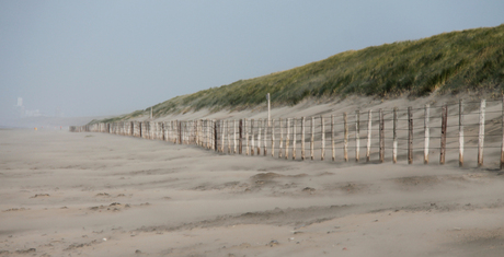 Strand met harde wind