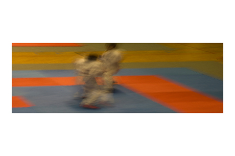 Karatetornooi 2008