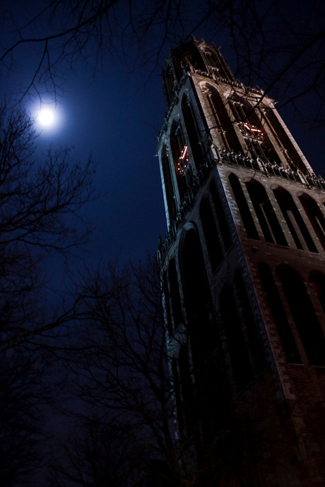 De Dom bij nacht