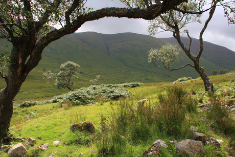 Isle of Mull