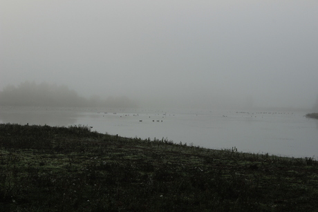 Landschap met mist