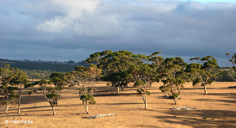 Kangaroo Island 3