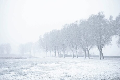 Hollandse winter landschap