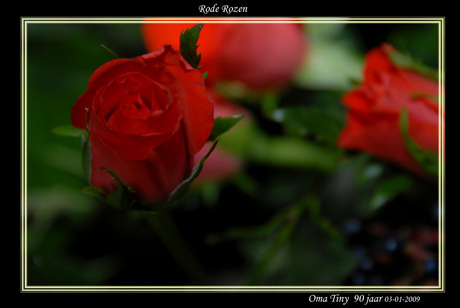 Rode rozen