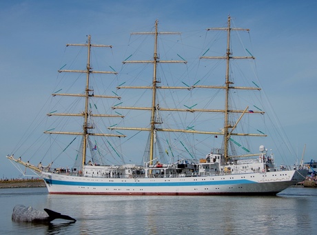 Tall ships 2018 Harlingen