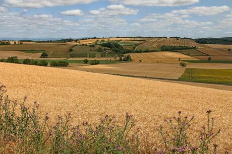 Genieten van de akkerlanden