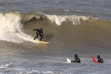 Surfers Scheveningen
