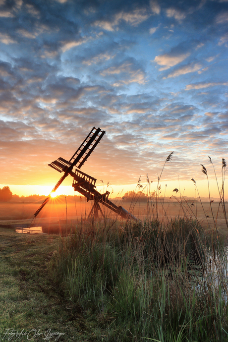 molen