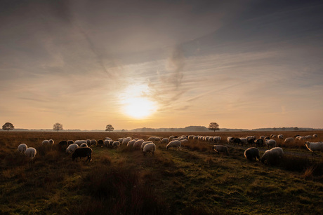 Drenthe in één oogopslag