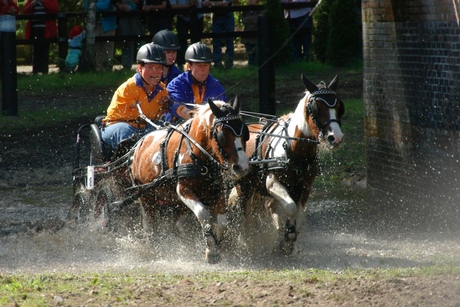 WK-mennen in Hellendoorn