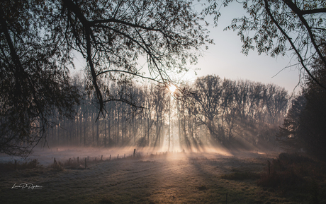 Mist, maakt het decor adembenemend.