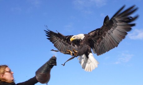 In vogelvlucht