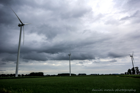 windmills