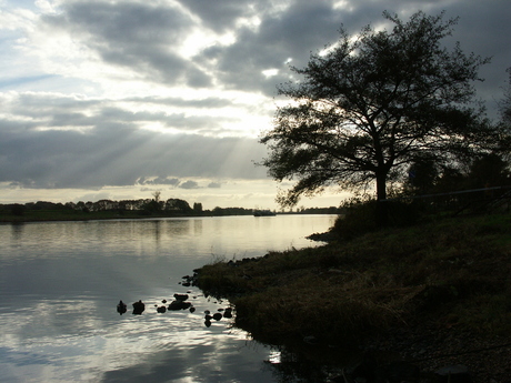 Veer bij Kessel (2)