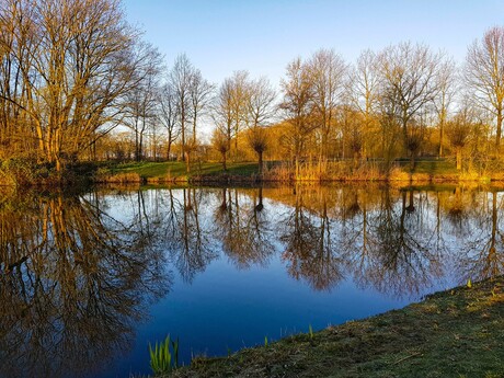 Het meer in het ochtendgloren