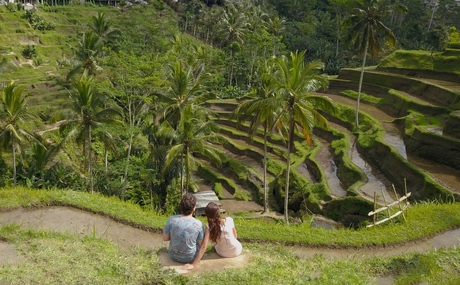 Telalagang rice terraces - Bali