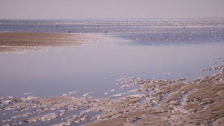 Maasvlakte