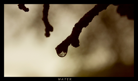 Water