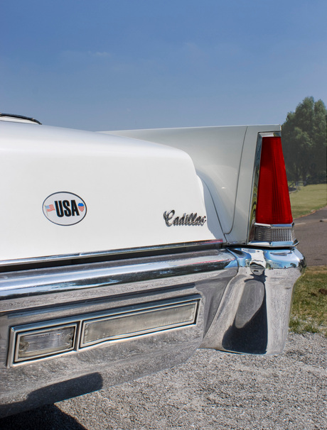 Caddy's tail
