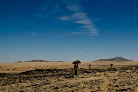 Namibian Desert kleur