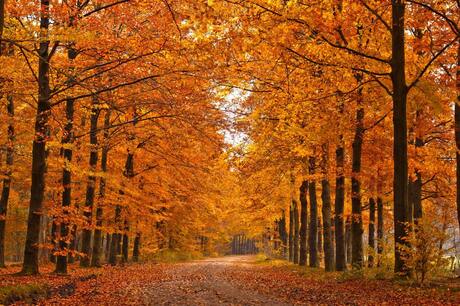 herfstweg