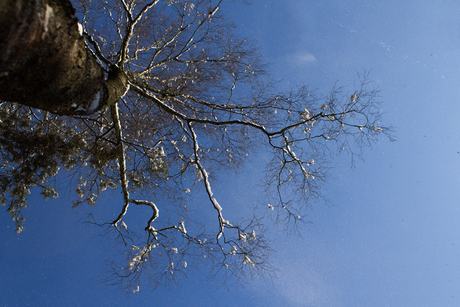 Leersumse veld 10 februari 2013