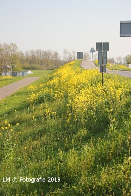 Langs de dijk.