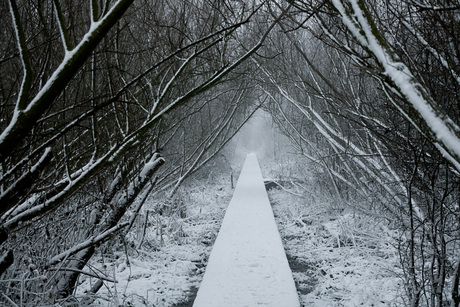 Waarheen leidt de weg....