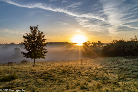 ochtendzon brunssumerheide