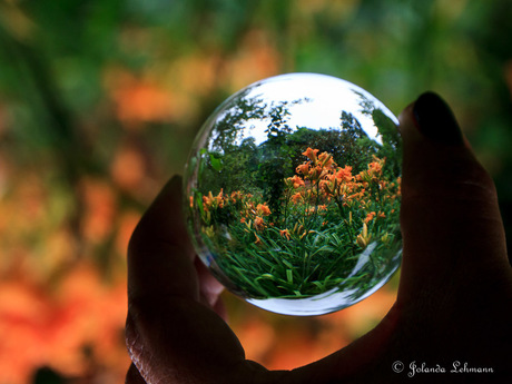 De wereld door een glazen bol