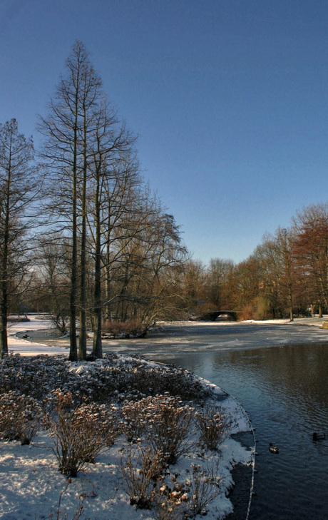 Winter 2010