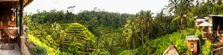 Bali panorama