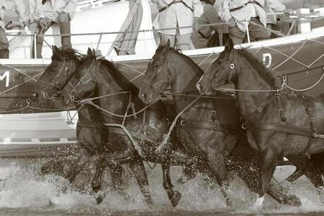 Paardenreddingsboot